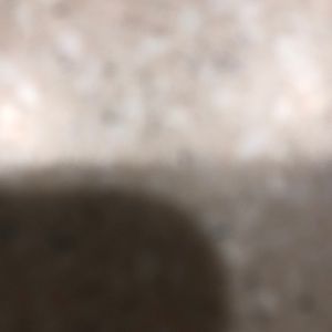 Meet your Posher, Cam